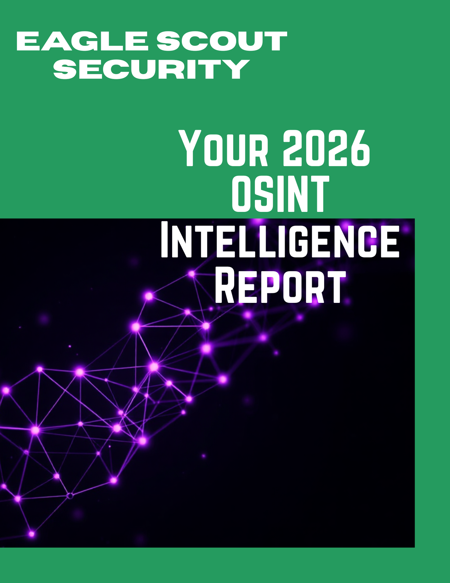 Basic OSINT Scan — Public Exposure Snapshot