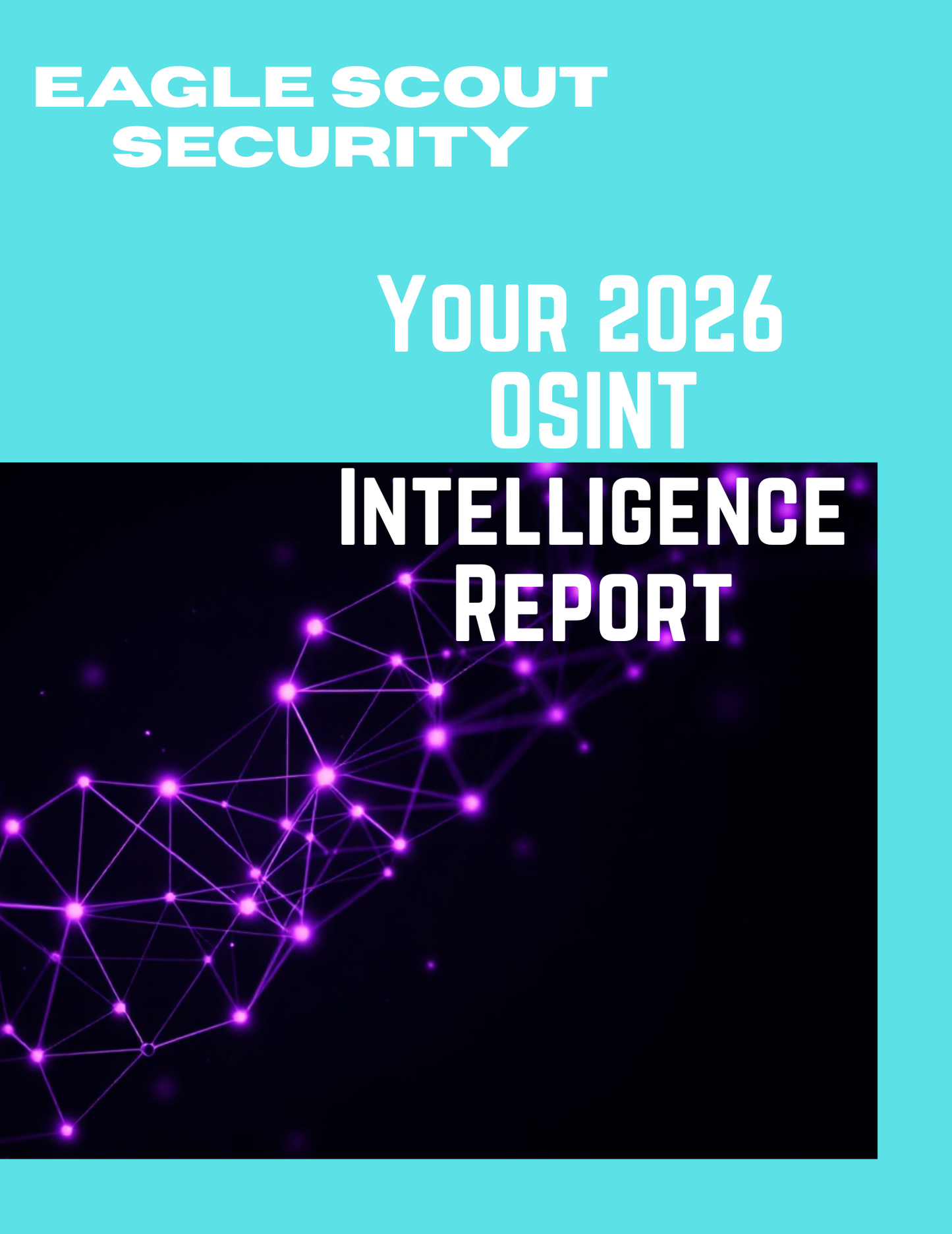 Advanced OSINT Review — Multi‑Platform Risk Analysis